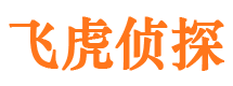 广平飞虎私家侦探公司